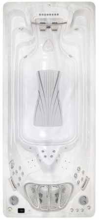 Бассейн с противотоком Hydropool Executive Trainer 19EX